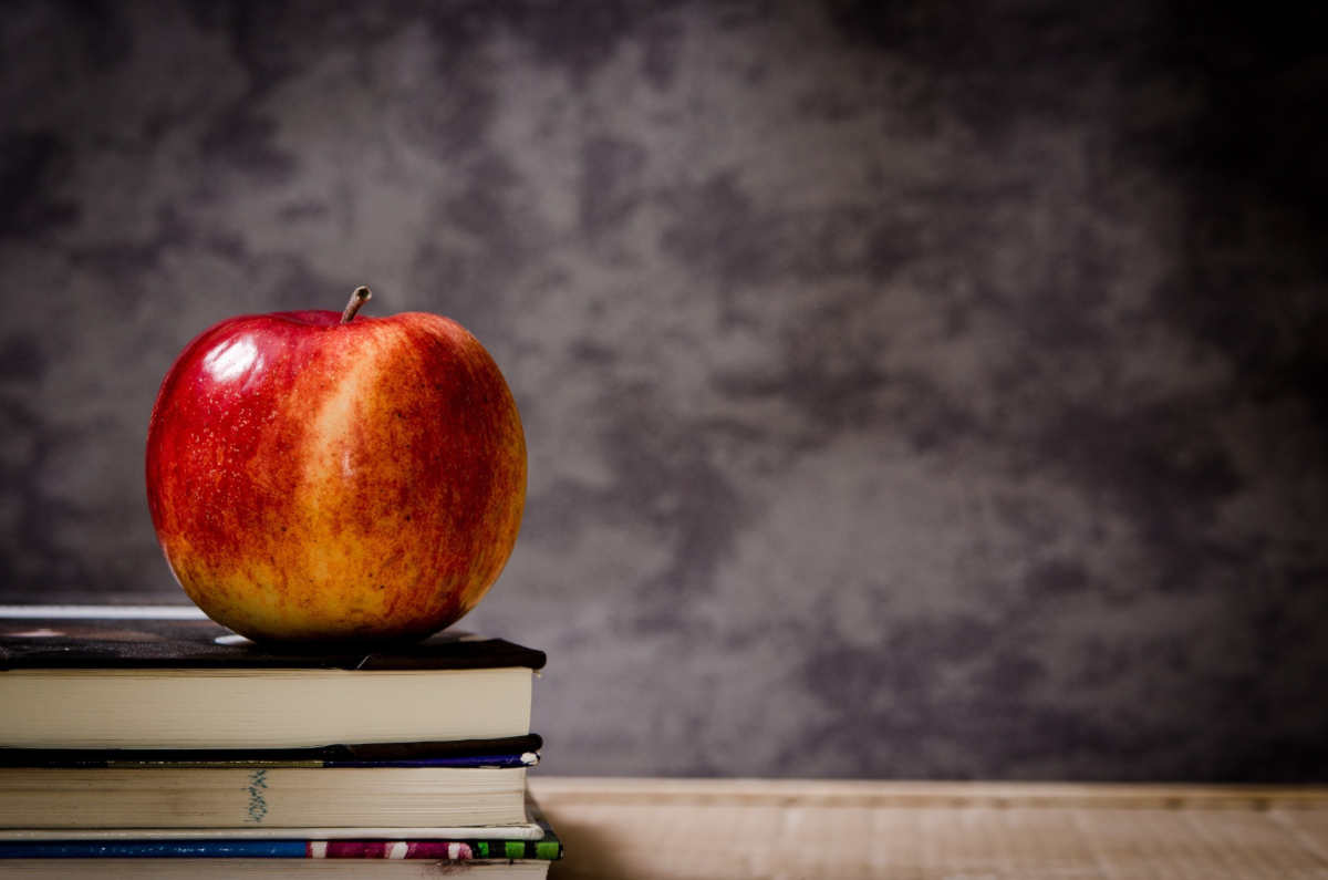 Viajes educativos: una inversión con beneficios que trascienden el aula